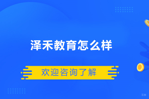 青岛泽禾教育深度解析：课程特色与教学优势全览