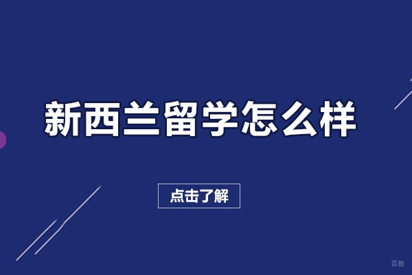 去新西兰留学怎么样-好从业吗