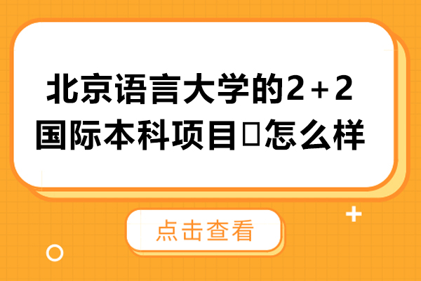 北京语言大学的2+2国际本科项目‌怎么样