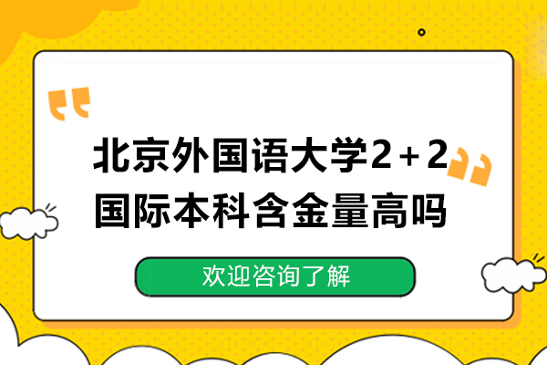 北京外国语大学2+2国际本科含金量高吗