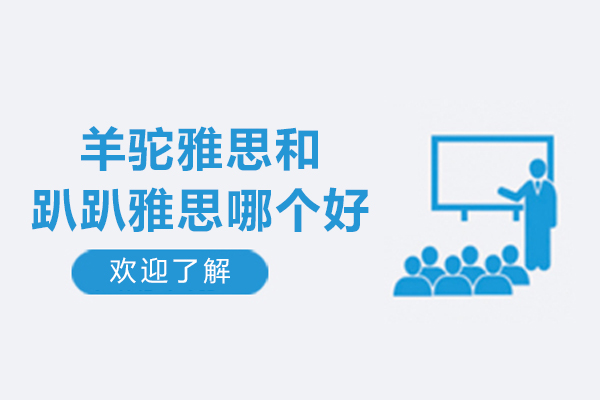羊驼雅思和趴趴雅思哪个好