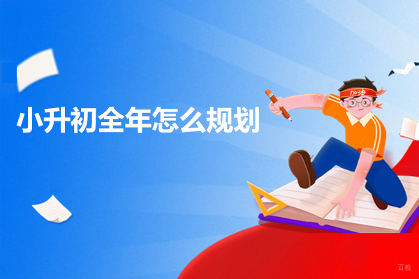 青岛小升初全年怎么规划