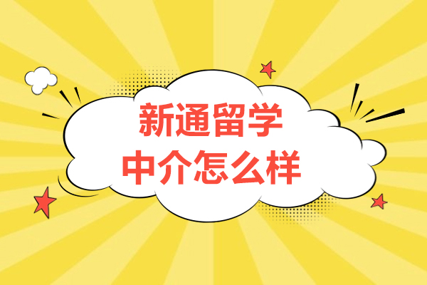 上海新通留学中介怎么样