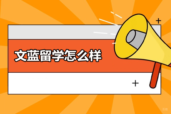青岛文蓝留学课程体系全解析