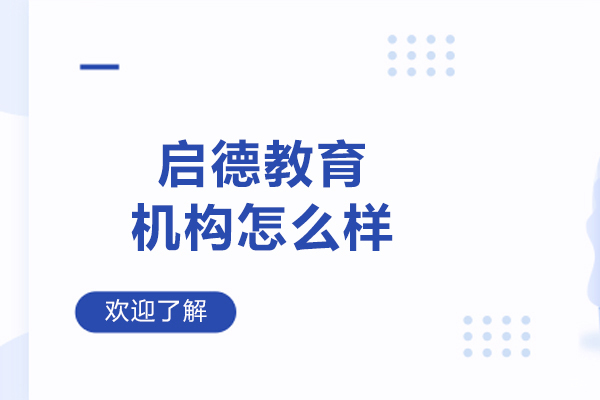 哈尔滨启德教育深度解析：课程体系与教学特色全览