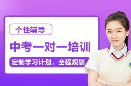 上海中考一对一冲刺课程-龙文教育