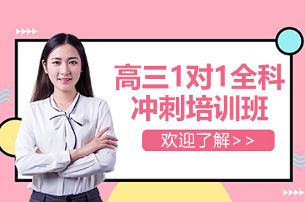 上海高三1对1全科冲刺培训班-龙文教育