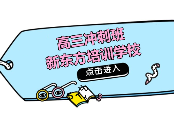上海高三冲刺班哪个机构好-新东方培训学校