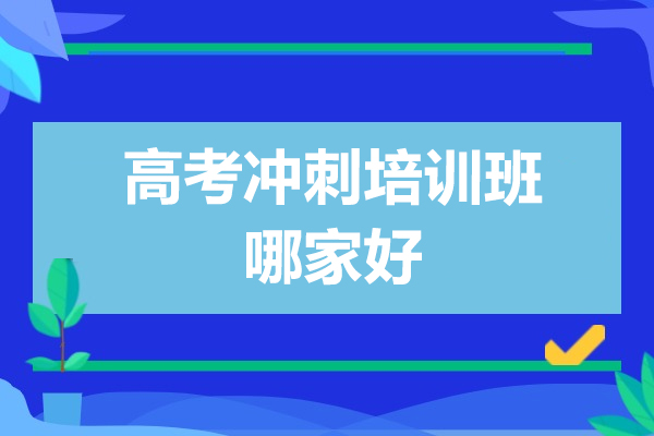 上海高考冲刺培训班哪家好-学大教育