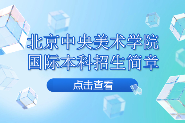 北京中央美术学院国际本科招生简章