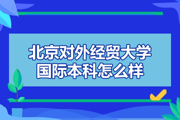 北京对外经贸大学国际本科怎么样