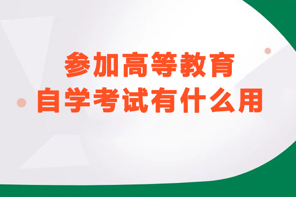 高等教育自学考试六大核心优势深度解析