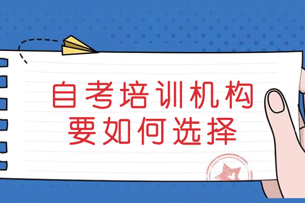 自考培训机构筛选指南：五大核心要素解析