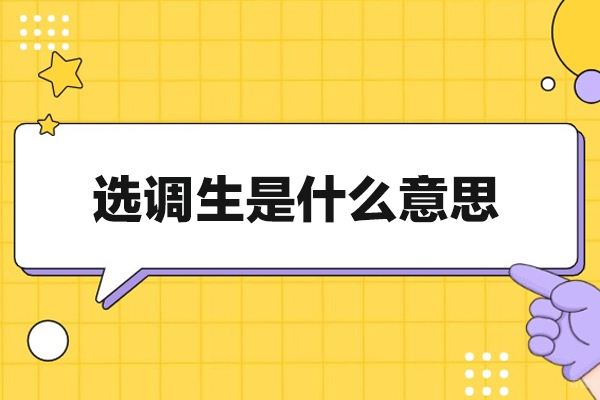 厦门选调生是什么意思