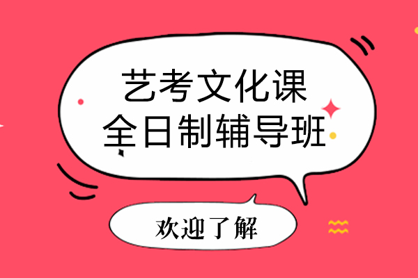 上海艺考文化课全日制辅导班-锐思教育