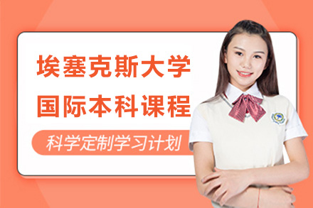 上海埃塞克斯大学国际本科培养方案解析