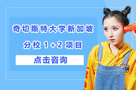 英国奇切斯特大学新加坡1+2项目深度解析