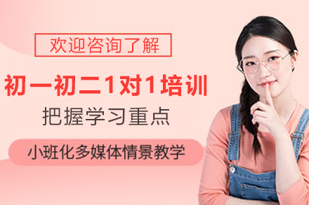 天津初一初二1对1培训班
