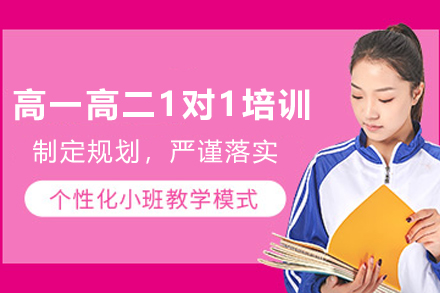 天津高一高二1对1培训班