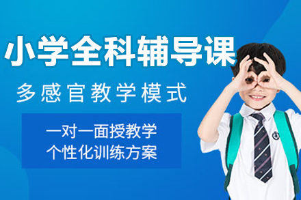 北京小学生全科定制辅导方案深度解析