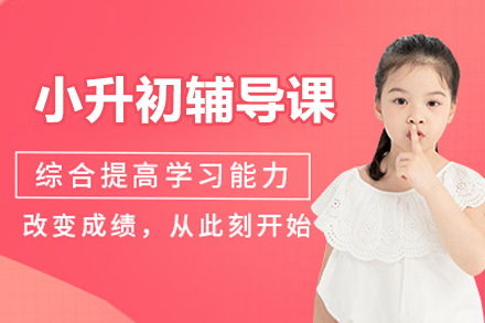 北京小升初一对一辅导课