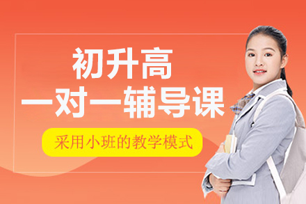 北京初升高一对一辅导课