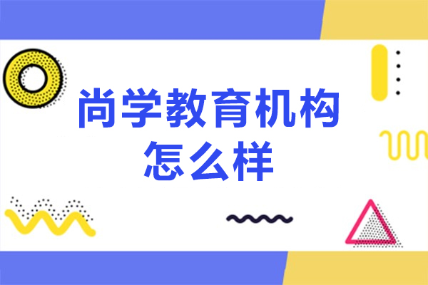 深度解读尚学教育全阶段辅导优势与教学模式创新