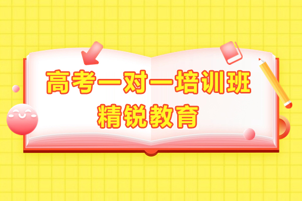 上海高考1对1培训课程-精锐教育