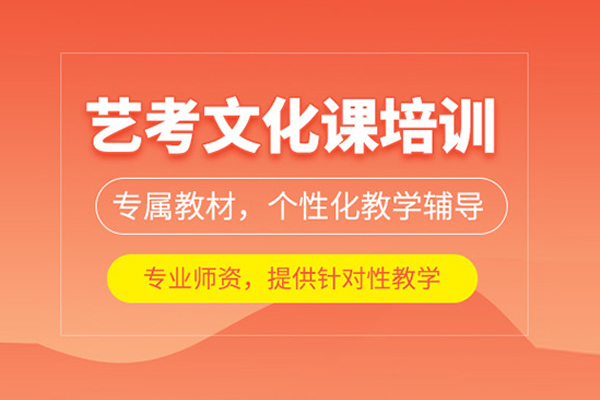 北京藝考文化課培訓課程