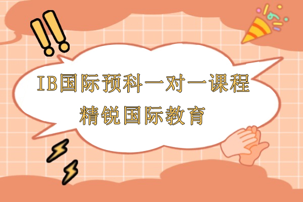 上海IB国际预科一对一课程-精锐国际教育