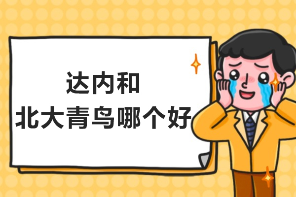 达内和北大青鸟哪个好