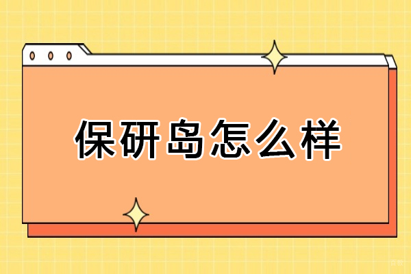 大连保研岛六大核心竞争力深度解析