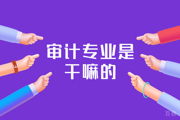 西安审计专业是干嘛的