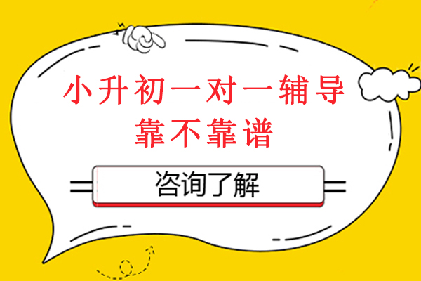 揭秘小升初一对一辅导的真实效果与选择策略