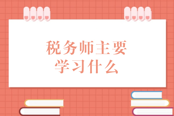税务师主要学习什么