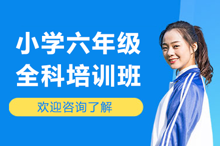 提升六年级学能：广州华赋铭师全科精训新方案
