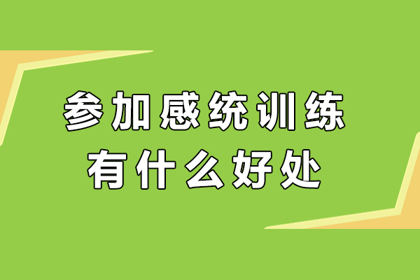 参加感统训练有什么好处