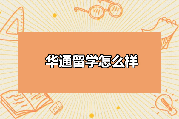烟台华通留学专业服务深度解析：全程护航留学之旅