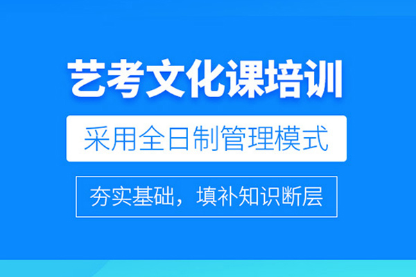 北京艺考文化课培训课程