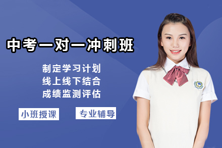 上海中考一对一冲刺班