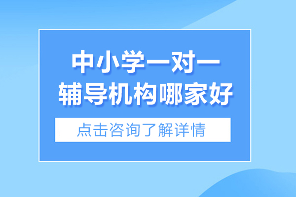上海中小学一对一辅导机构哪家好-新舟素养