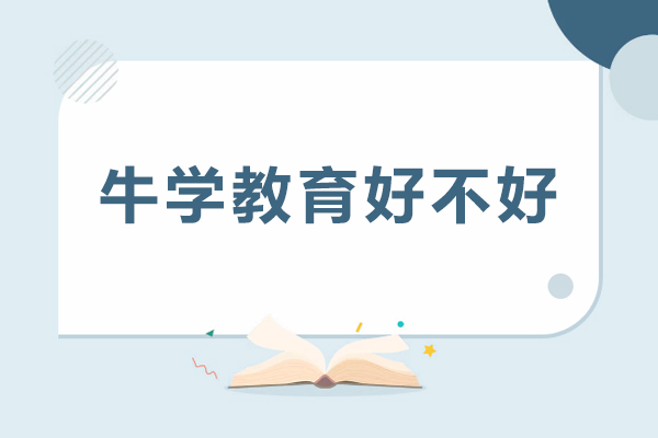 成都牛学教育好不好
