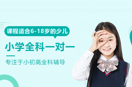 小学全科一对一培训班
