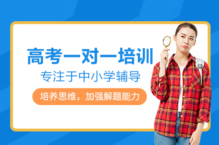 高考一对一培训班