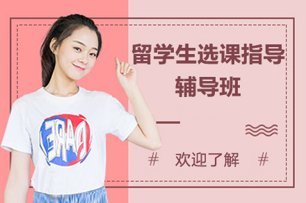 留学生选课指导辅导班