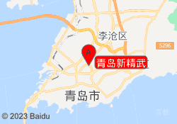 青岛新精武