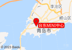 台东MINI中心