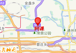 网课