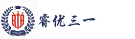 上海睿优三一学院