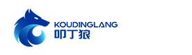 上海叩丁狼教育